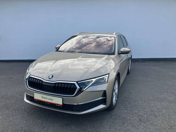 Autokomplex Menčík