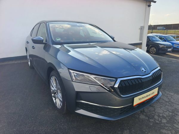 Autokomplex Menčík
